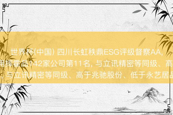世界杯(中国) 四川长虹秩鼎ESG评级督察AA， 位居GICS三级家庭耐用挥霍品142家公司第11名， 与立讯精密等同级、高于兆驰股份、低于永艺居品等