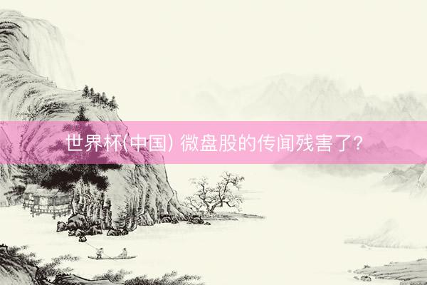 世界杯(中国) 微盘股的传闻残害了?