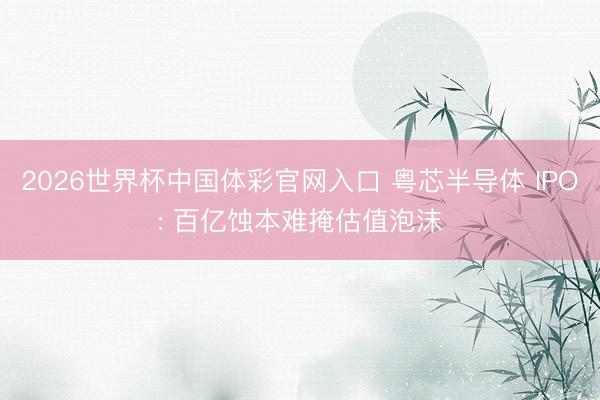 2026世界杯中国体彩官网入口 粤芯半导体 IPO: 百亿蚀本难掩估值泡沫