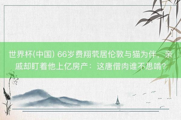 世界杯(中国) 66岁费翔茕居伦敦与猫为伴，亲戚却盯着他上亿房产：这唐僧肉谁不思啃？