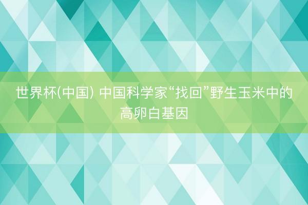 世界杯(中国) 中国科学家“找回”野生玉米中的高卵白基因