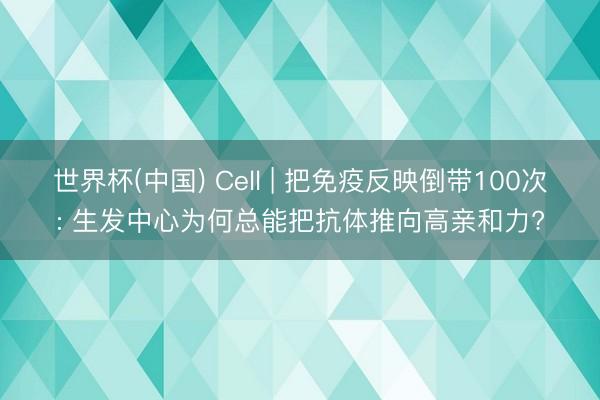 世界杯(中国) Cell | 把免疫反映倒带100次: 生发中心为何总能把抗体推向高亲和力?