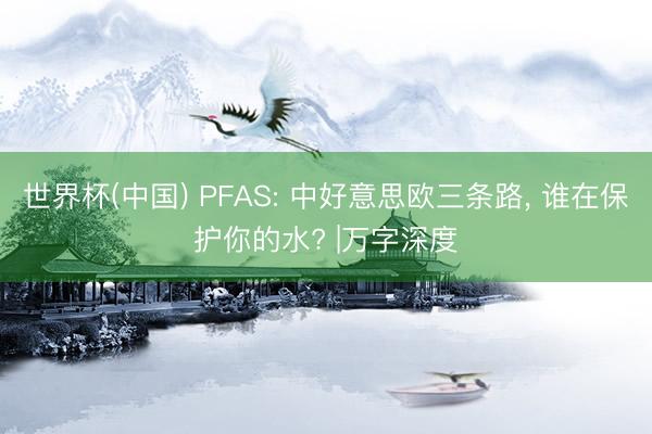 世界杯(中国) PFAS: 中好意思欧三条路， 谁在保护你的水? |万字深度