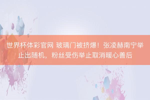 世界杯体彩官网 玻璃门被挤爆！张凌赫南宁举止出随机，粉丝受伤举止取消暖心善后