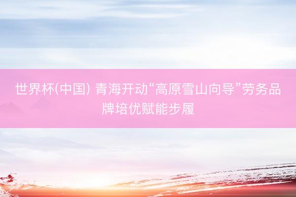 世界杯(中国) 青海开动“高原雪山向导”劳务品牌培优赋能步履