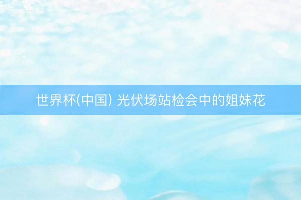 世界杯(中国) 光伏场站检会中的姐妹花