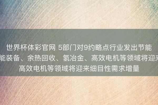 世界杯体彩官网 5部门对9约略点行业发出节能降碳“攻坚令” 节能装备、余热回收、氢冶金、高效电机等领域将迎来细目性需求增量